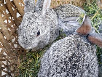 《最恐 -青鬼-》登陆Steam八折优惠 3D恐怖探索